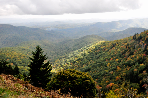 fall colors on The Blue Ridge Parkway